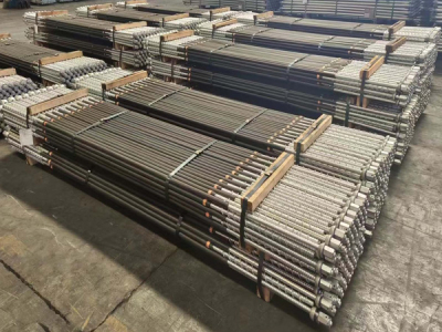 Posimix Dynamic Bolt